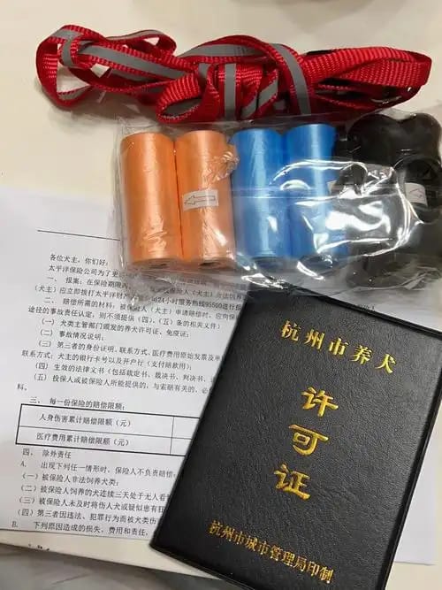 证件刻章网上申请避坑指南：小白必看的全流程操作手册